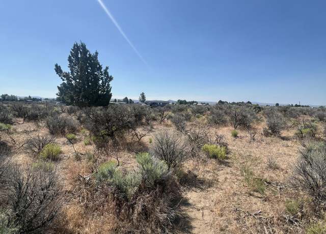 Property at 000 Glitter St, Christmas Valley, OR 97641