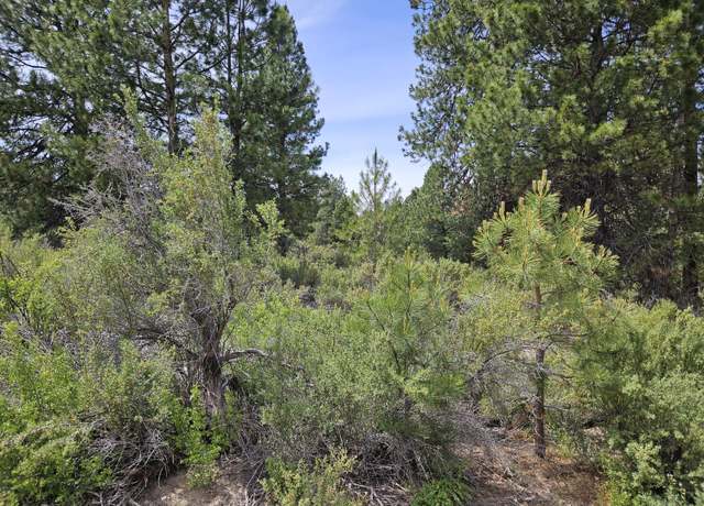 Property at 00 Pine Ridge Loop Lot 7, Chiloquin, OR 97624