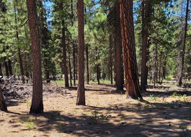 Property at 201 Hwy 58, Crescent Lake, OR 97733