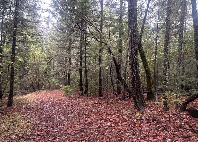 Property at 125 Ingalls Ln, Wilderville, OR 97543