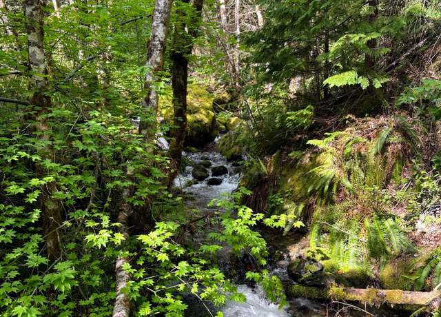 Property at T39sse18 Caves Camp Rd, Williams, OR 97544