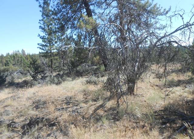 Property at 0 Ground Squirrel Dr, Bonanza, OR 97623