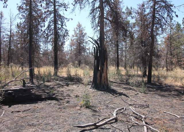 Property at NKA Cuscus Ln Lot 12, Bonanza, OR 97623