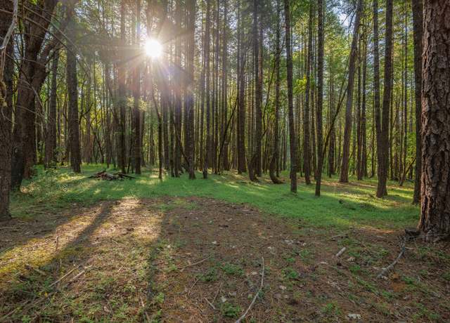 Property at 355 Firview Ln, Wilderville, OR 97543