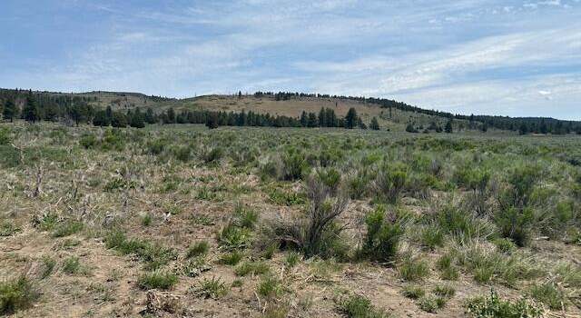 Photo of Mule Deer, Sprague River, OR 97639