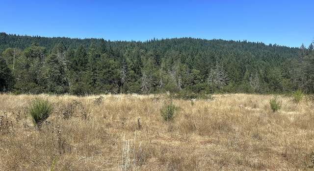 Photo of 12124 Redwood Hwy, Wilderville, OR 97543