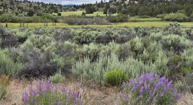 Photo of River Bank Dr, OR 97621