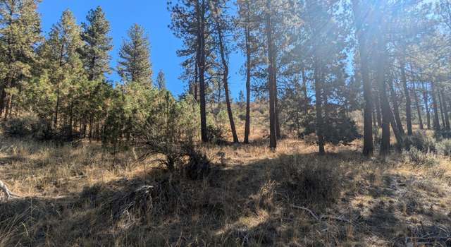 Photo of Canary #5, Bonanza, OR 97623