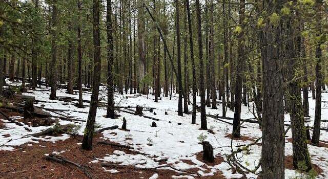 Photo of Lot 54 Porpoise Ln, Bonanza, OR 97623