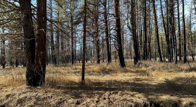 Photo of 5 Acres Near Godowa Springs Rd, Beatty, OR 97621