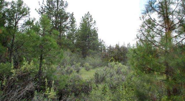 Photo of Partin Dr #5, Beatty, OR 97621