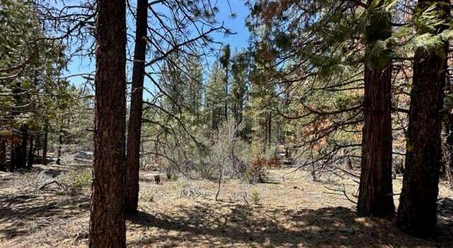 Photo of Lot 7 Porpoise Ln, Bonanza, OR 97623