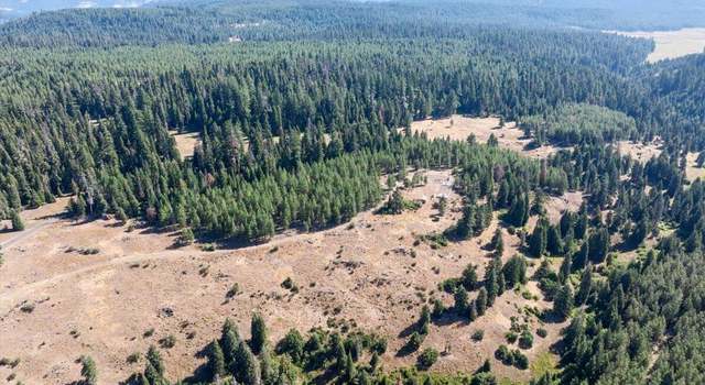 Photo of 13889 Dead Indian Memorial Rd, Ashland, OR 97520