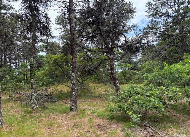 Property at 6 Longnook Ln, North Truro, MA 02652