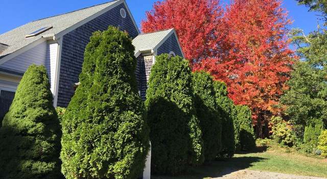 Photo of 75 Blue Spruce Way, Mashpee, MA 02649