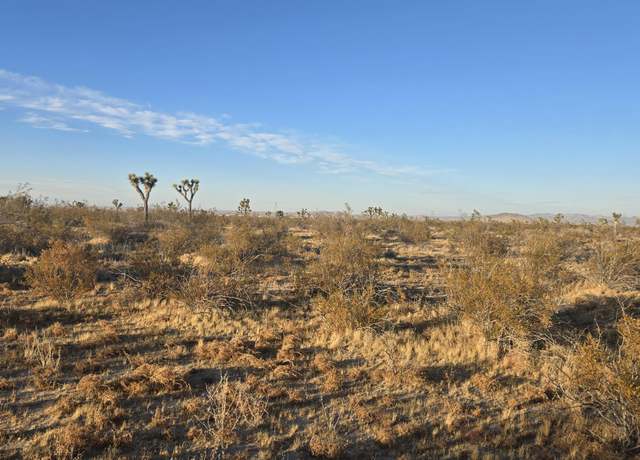 Property at Vicinity Ave U-4 & 257th St E, Llano, CA 93544