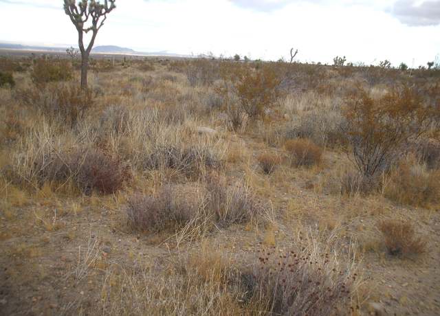 Property at 00 SE Bob Gap Road Rd, Llano, CA 93544