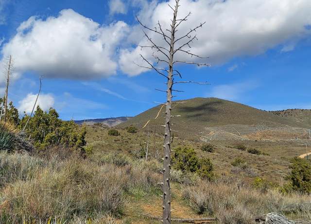 Property at 34401 Governor Mine Rd, Acton, CA 93510