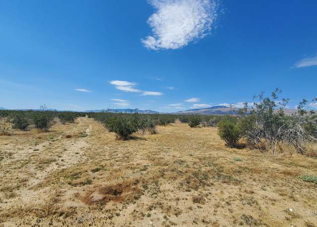 Property at Budlong Ave & 114th St West, Rosamond, CA 93560
