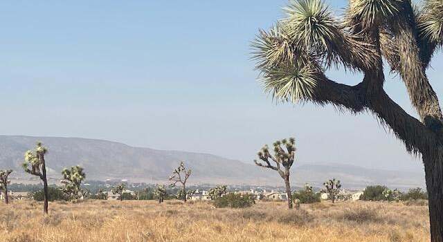Photo of Vic 30th Stw Avenue M8, Lancaster, CA 93536