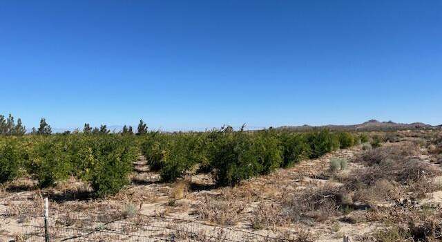 Photo of Cor Palmdale Pav Longvi, Sun Village, CA 93543