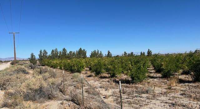 Photo of Cor Palmdale Pav Longvi, Sun Village, CA 93543