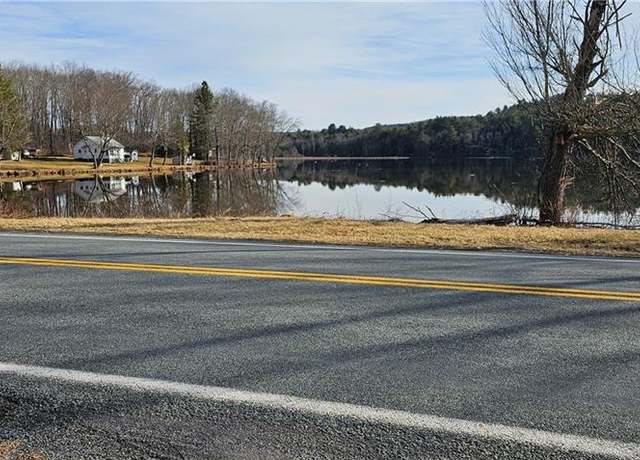 Property at 490 Briscoe Rd, Swan Lake, NY 12783