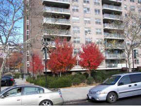 123 99 Flatlands Ave Unit 8L Brooklyn NY 11207 MLS 360071