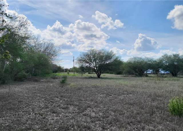 Property at 301 S County Road 307, Orange Grove, TX 78372