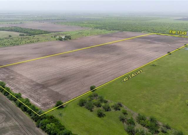Property at 0 Fm-1349, Skidmore, TX 78389