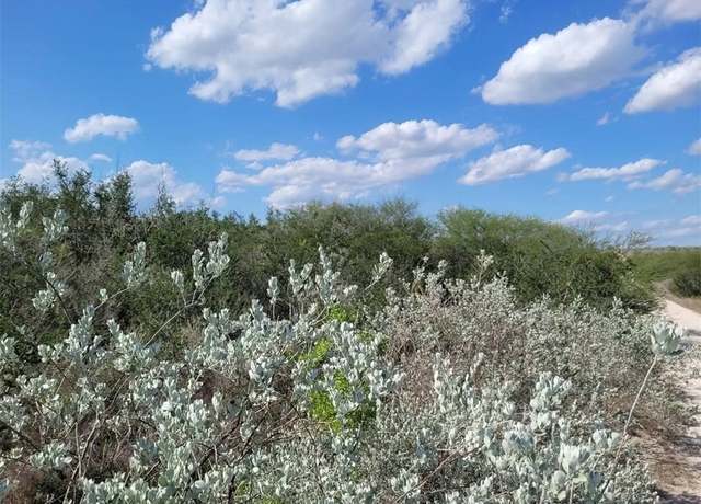 Property at 0 Racoon Dr, George West, TX 78022