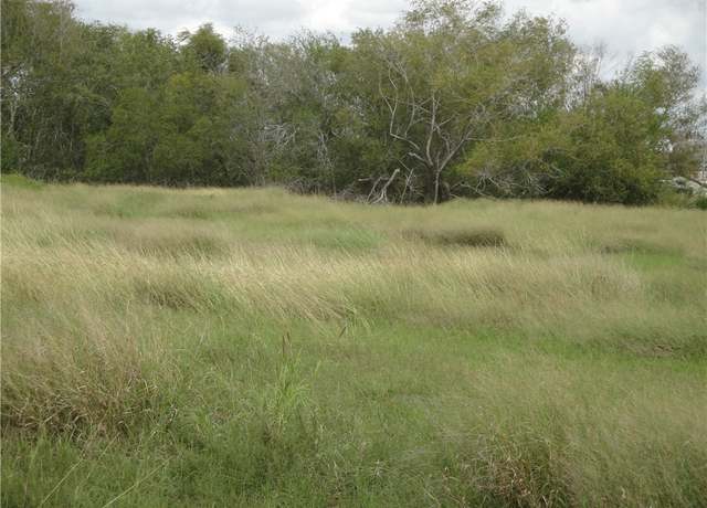 Property at TBD Vogelsang Ln, Dinero, TX 78383
