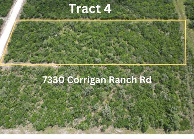 Property at Undisclosed address, Skidmore, TX 78389