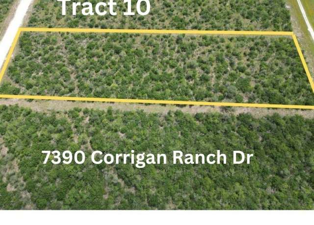 Property at Undisclosed address, Skidmore, TX 78389