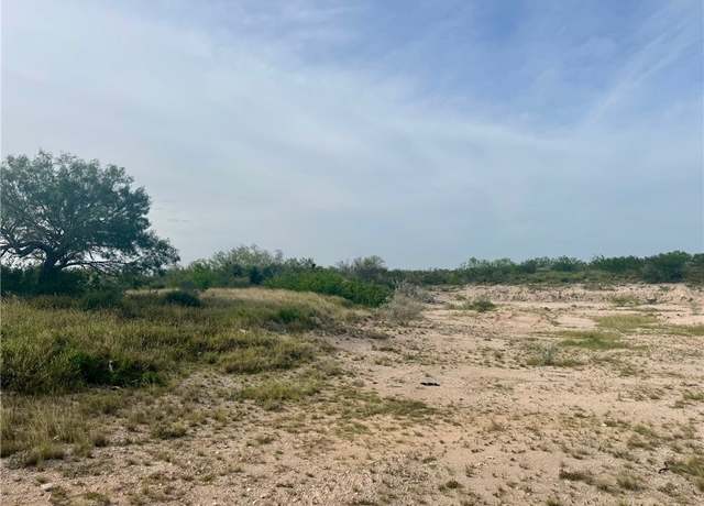 Property at 000 County Rd 335, San Diego, TX 78384