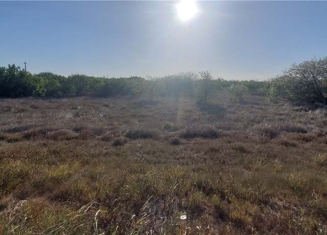 Property at 0000 Joey Dr & Fm Road 101, Robstown, TX 78380