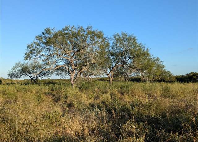 Property at 0 0, San Diego, TX 78384