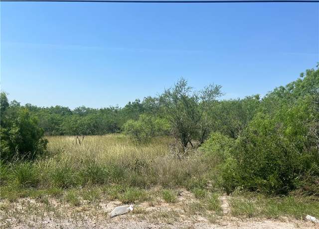 Property at 0 W County Road 2180, Kingsville, TX 78363