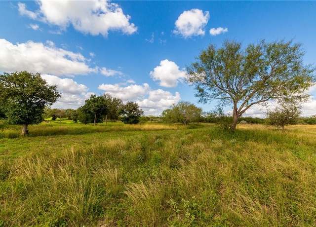 Property at 00 Lakeshore Subdivision Block 2 Lot 12, Sandia, TX 78383