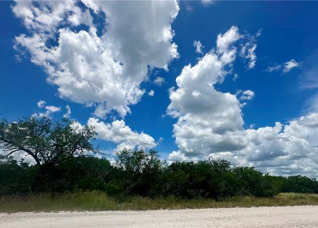 Property at 208 Mockingbird, Orange Grove, TX 78372