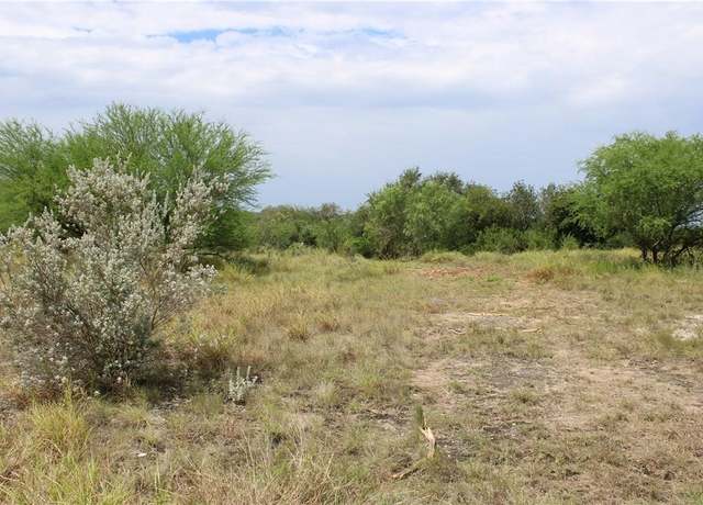 Property at 00 Lot 10 Vista Fina Dr, Sandia, TX 78383