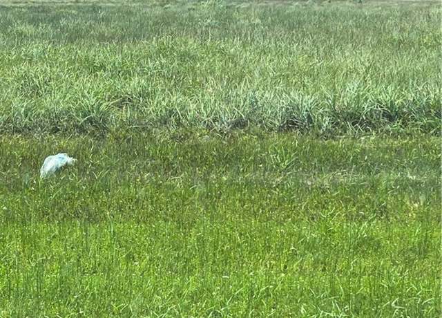 Property at Undisclosed address, Corpus Christi, TX 78418