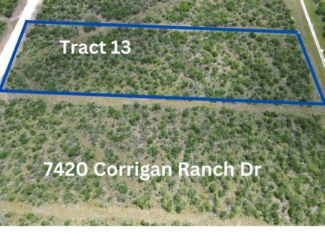 Property at Undisclosed address, Skidmore, TX 78389