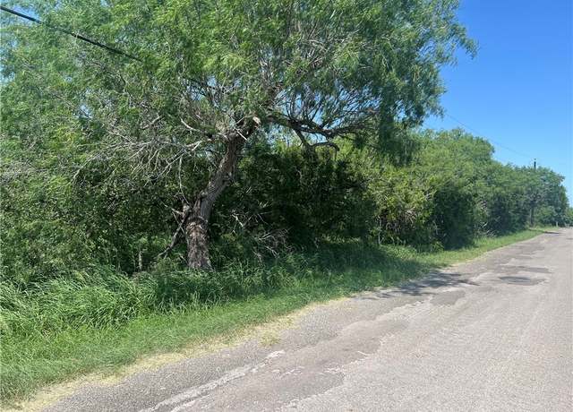 Property at 0A W County Road 2180, Kingsville, TX 78363