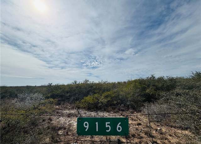 Property at 9156 Hwy 339, Freer, TX 78384