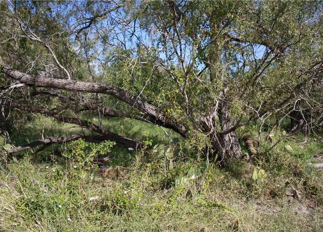 Property at Undisclosed address, Sinton, TX 78387