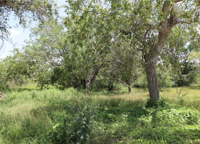 Property at Undisclosed address, Sinton, TX 78387
