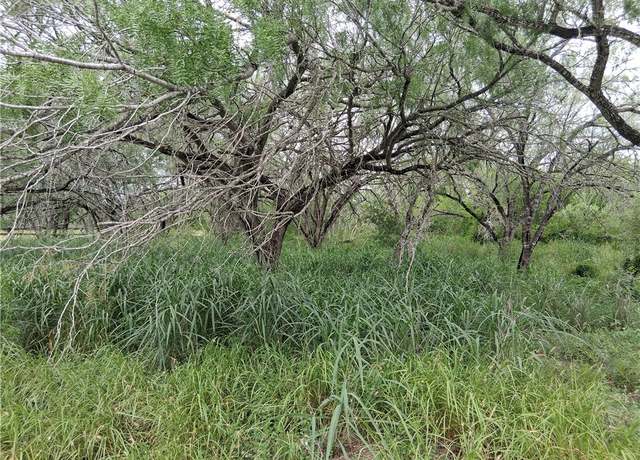 Property at 0 Swinney Switch Shores Rd, Mathis, TX 78368