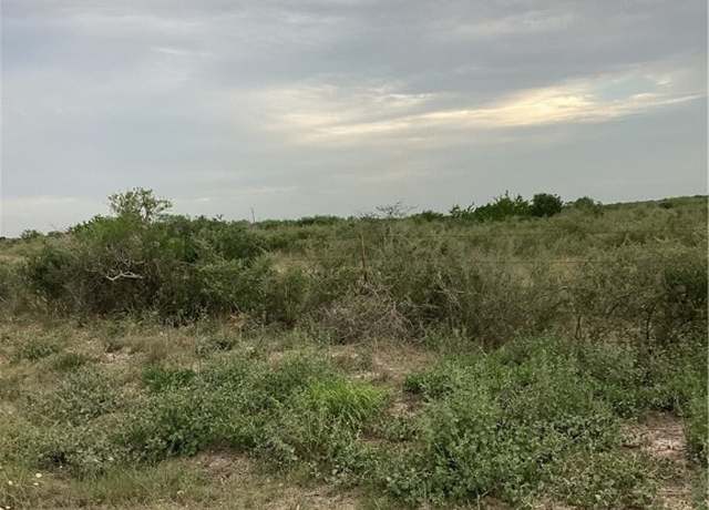 Property at 1021 Frontier A Rd, San Diego, TX 78384