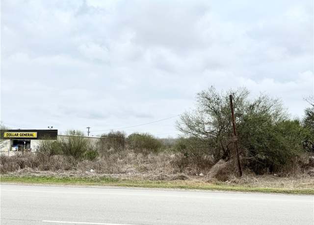 Property at 119 E Refugio St, Skidmore, TX 78389